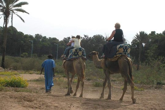 Tour image 5