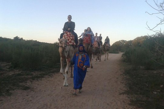 Tour image 4