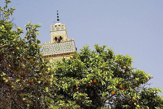 Tour image 14