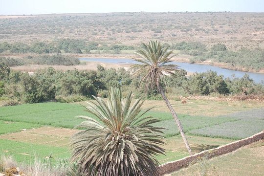 Tour image 8