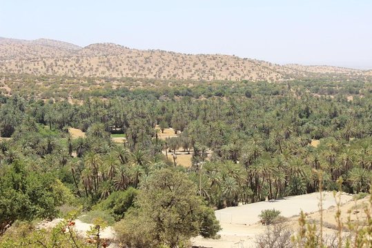 Tour image 5