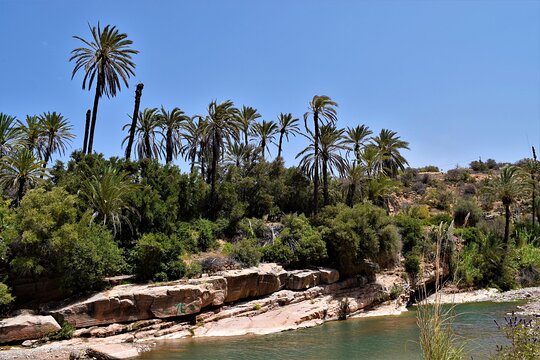 Tour image 7
