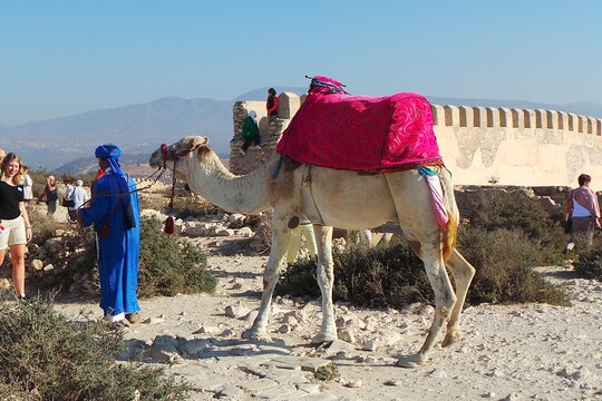 Tour image 7