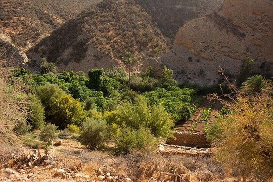 Tour image 6